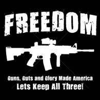 Guns Guts And Glory